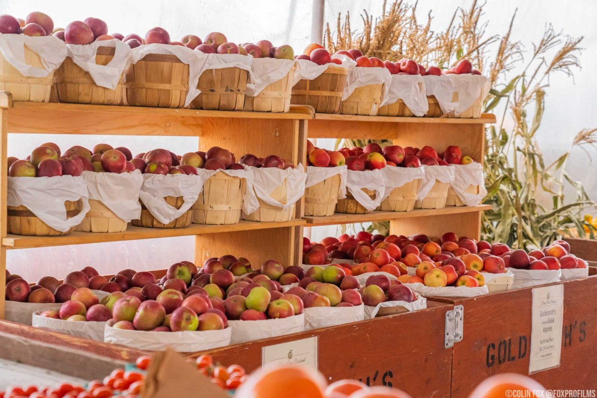 Entrepreneurs leverage apple culture as ‘taste of place’