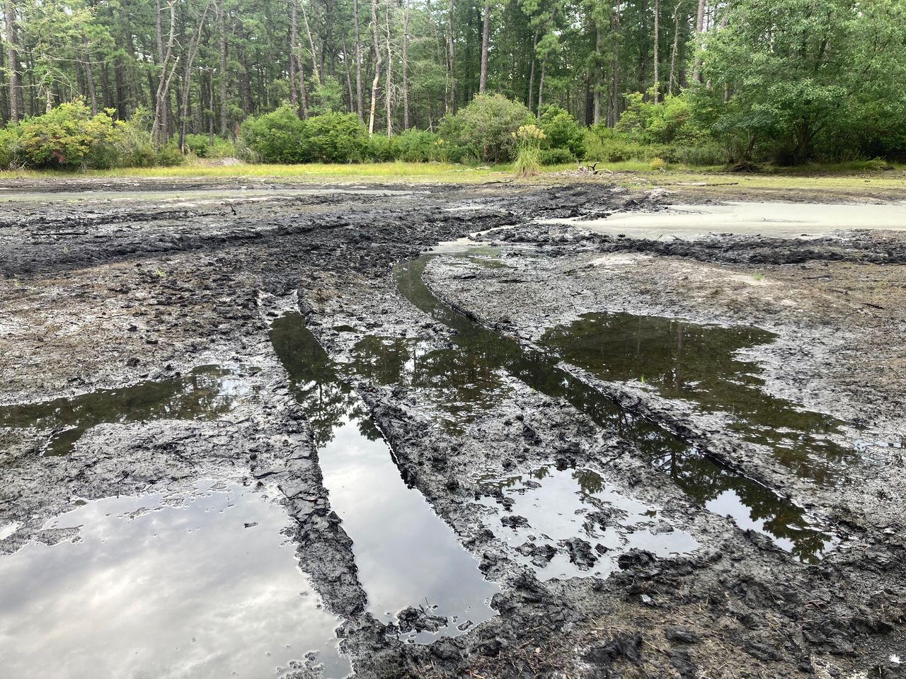 Illegal off-road vehicles continue to tear up N.J. forests. Advocates push for crackdown.
